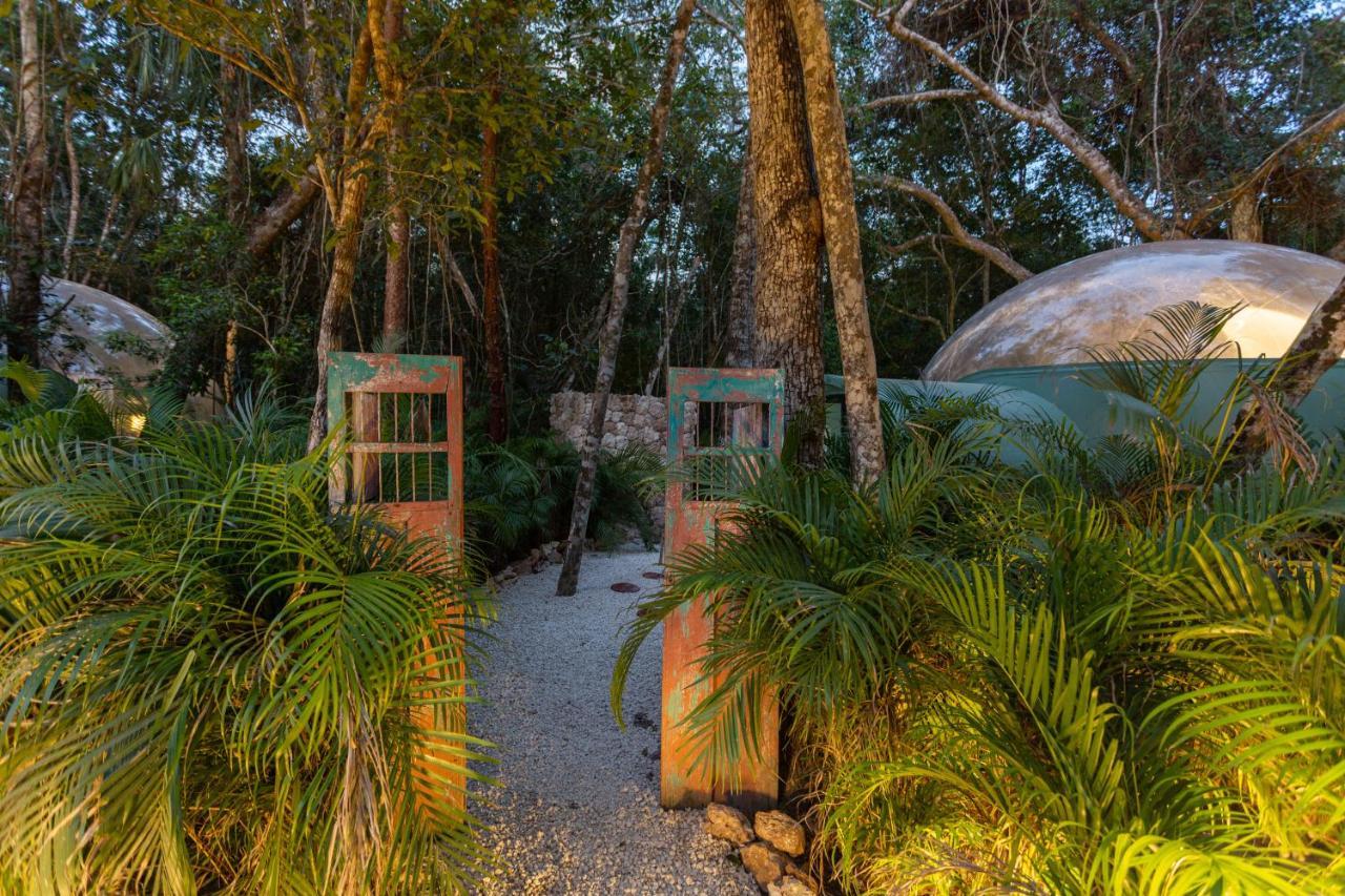 Oom Bubble Boutique Hotel Puerto Morelos Extérieur photo